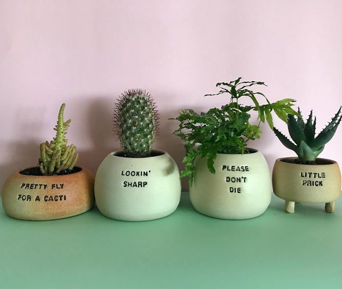 Details about   DIY Plant Puns Set of 5 plant pot funny sticker decal garden cactus 