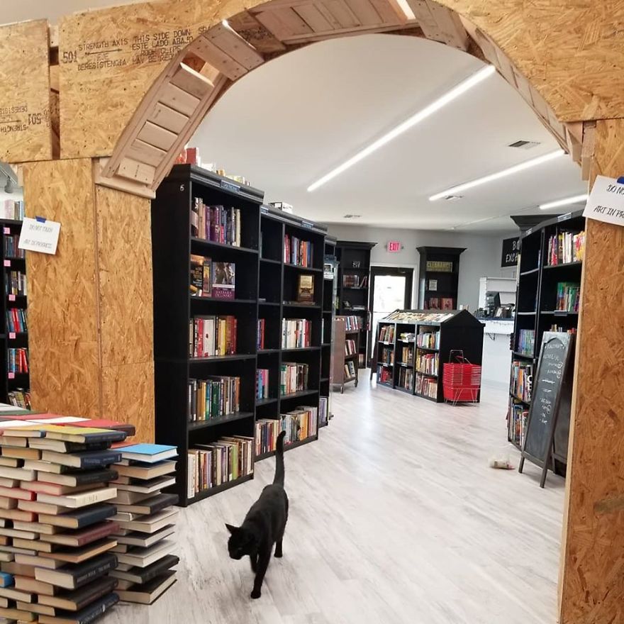 I Built A Book Arch In My Store And It Took Over 4 Weeks To Complete