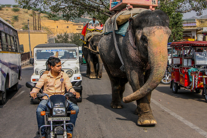 12 Pictures Of Traffic In India That Might Make You Rethink Your Traffic  Problems | Bored Panda