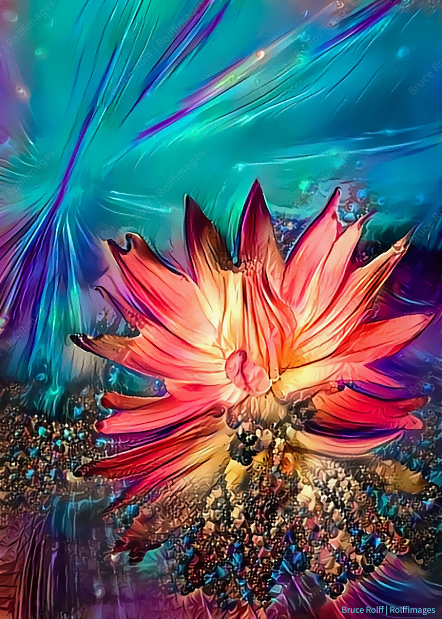 Lotus