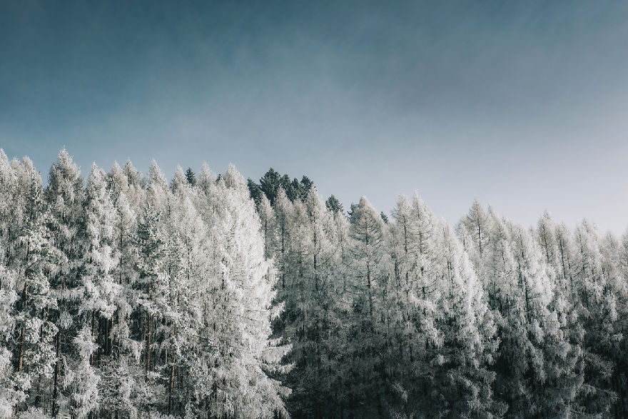 I've Got Lost In The Winter Wonderland And Captured These Photographs (14 Pics)