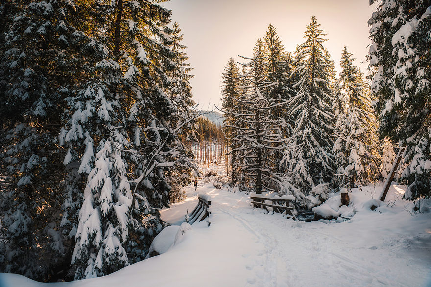 I've Got Lost In The Winter Wonderland And Captured These Photographs (14 Pics)