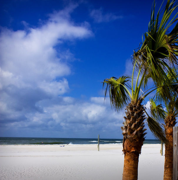 Beach At Gulf Shores