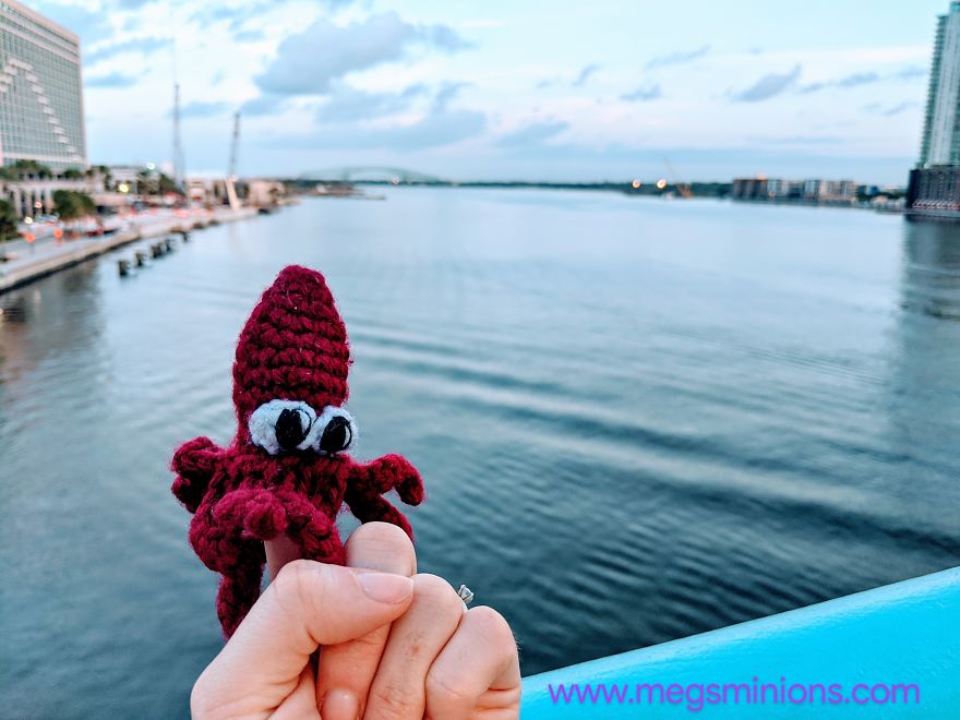Squid Finger Puppet Goes On Amazing Adventures