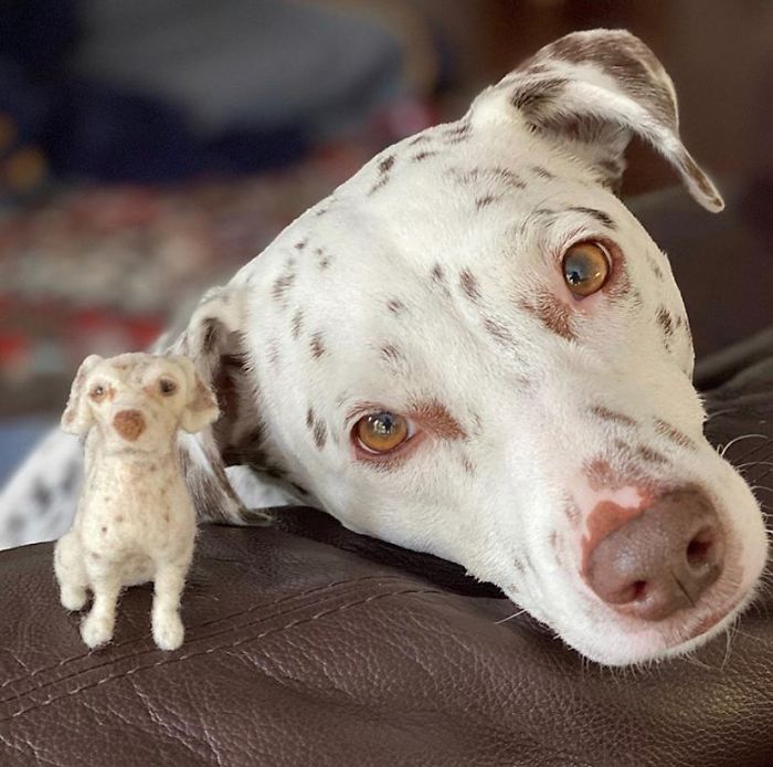 This Artist Immortalizes Her Pet In The Form Of An Adorable Felt Doll