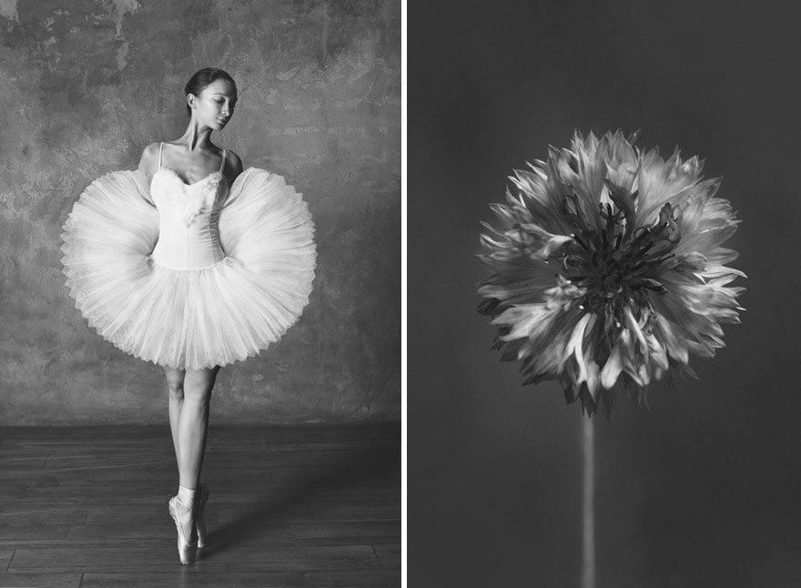 This Photographer Shows Similar Movements Of Ballet With Flowers