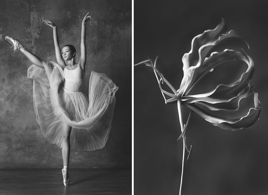 This Photographer Shows Similar Movements Of Ballet With Flowers