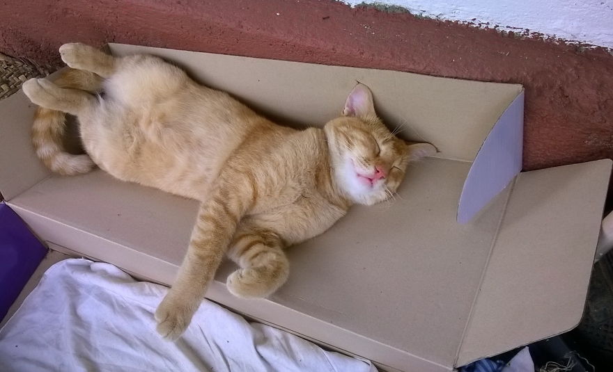 Duty Is Over...... So Please Don't Disturb....
