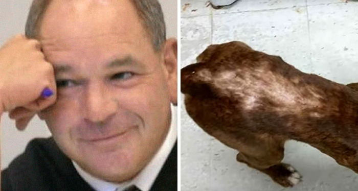 People Are Loving This Ohio Judge Who Gives A Taste Of Their Own Medicine To Animal Abusers