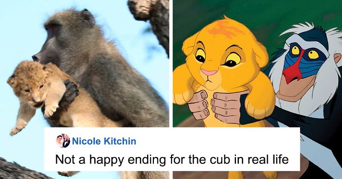 Baboon Carries A Lion Cub Just Like From 'The Lion King' | Bored Panda