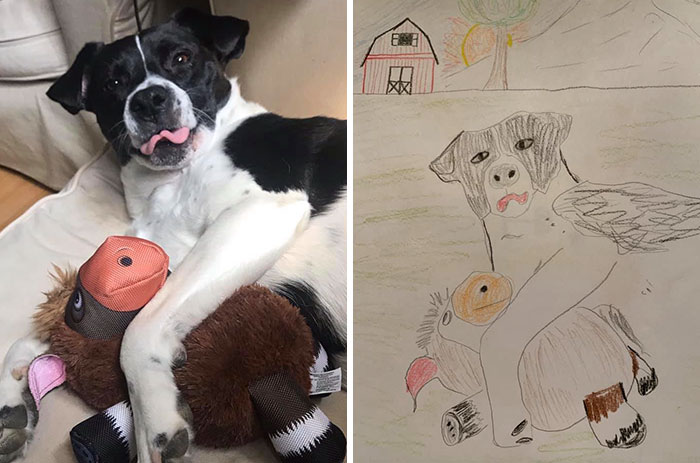 Humane Society Promises To Make A Bad Original Drawing Of Your Pet For A $15 Donation And Here's The Results (35 Pics)