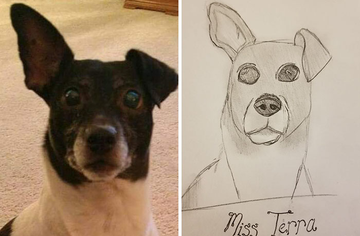 Bad-Pet-Drawings-Wisconsin-Humane-Society-Donation
