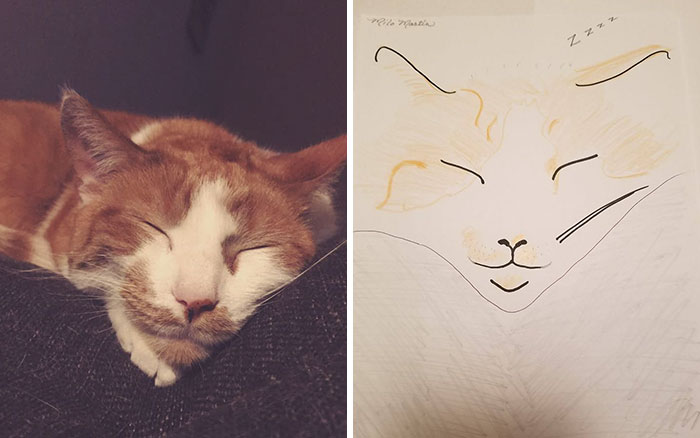 Humane Society Promises To Make A Bad Original Drawing Of Your Pet For A $15 Donation And Here's The Results (35 Pics)