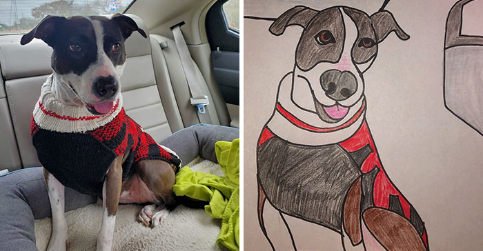 Bad-Pet-Drawings-Wisconsin-Humane-Society-Donation