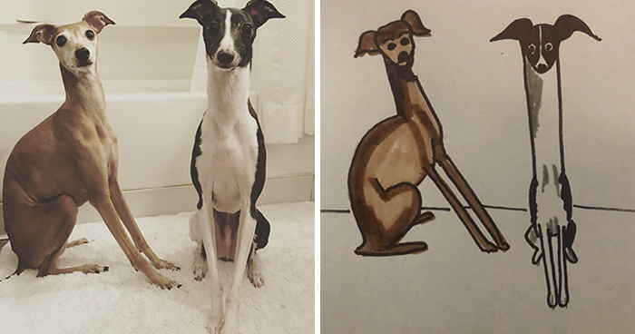 Humane Society Promises To Make A Bad Original Drawing Of Your Pet For A $15 Donation And Here’s The Results (35 Pics)