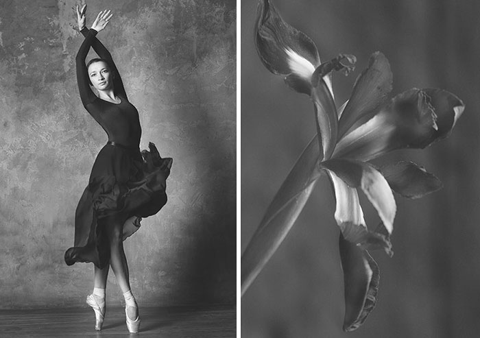 This Photographer Created An Amazing Photo Series Comparing Ballerinas And Flowers