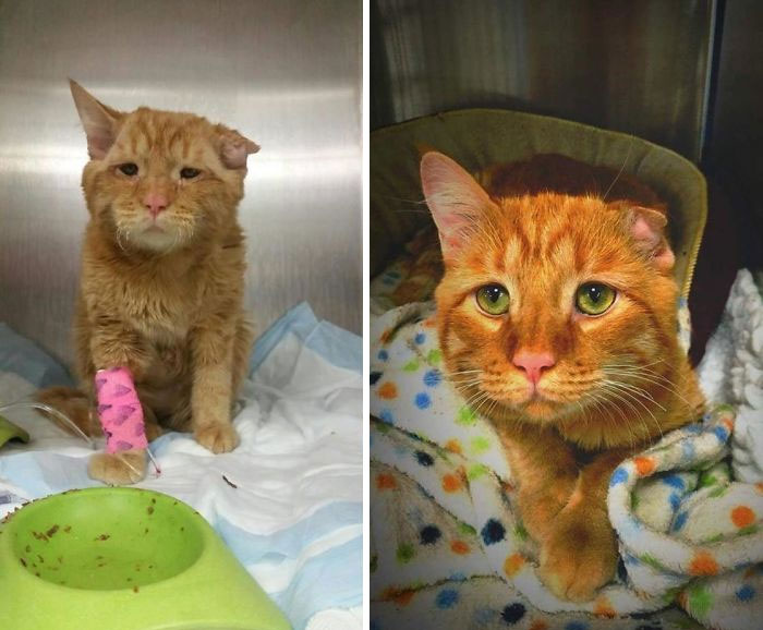 This Is Benben. Before/After Death Row