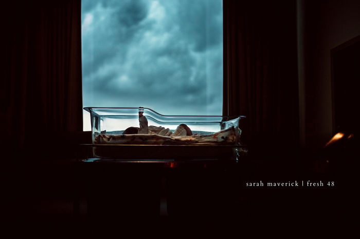 Honorable Mention: “On The Day You Were Born”, Sarah Maverick
