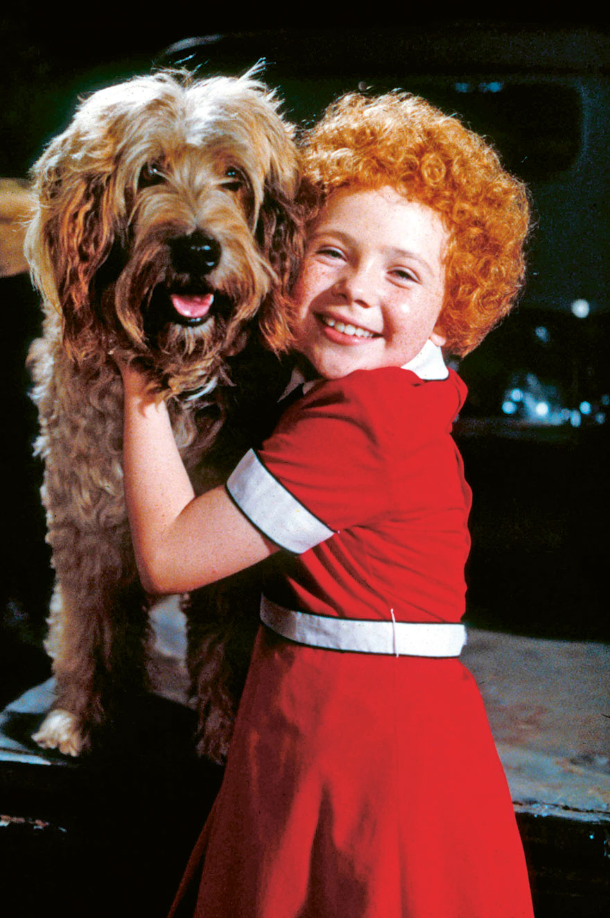 Sandy (Otterhound), Annie, 1982