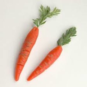 Carrot dude