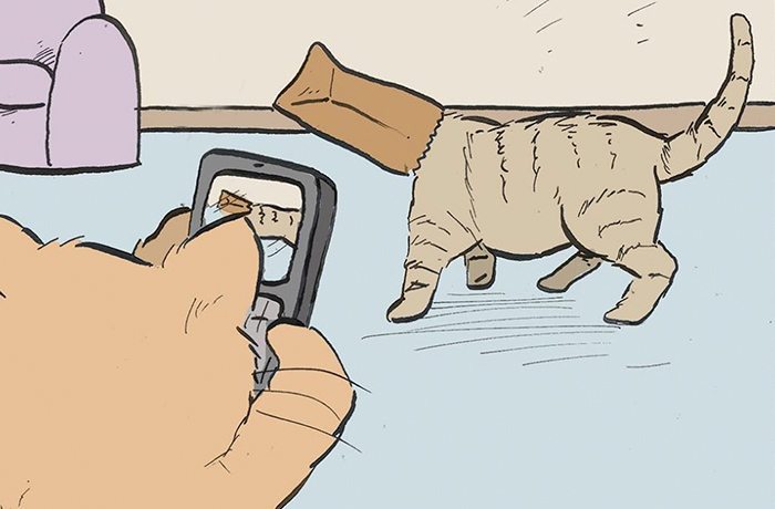 35 Comics That Cat Owners Will Relate To, Inspired By My Cat