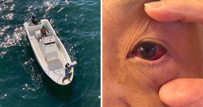 People Quarantined On The “Coronavirus Cruise Ship” Share What It’s Really Like (30 Posts)