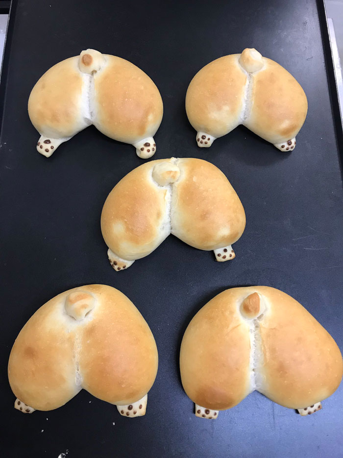 These Corgi Butt Buns Filled With Apple Jelly And Custard Are Going Viral