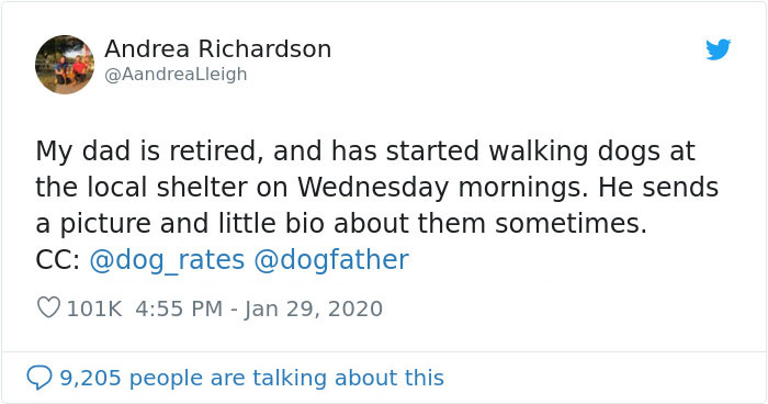 Retired Dad Walks Dogs In An Animal Shelter, Sends Bios Of Each One To His Daughter, People Adore Him