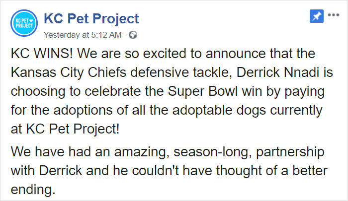 Super Bowl Winner Celebrates Victory By Paying The Adoption Fees Of Every Dog In A Shelter
