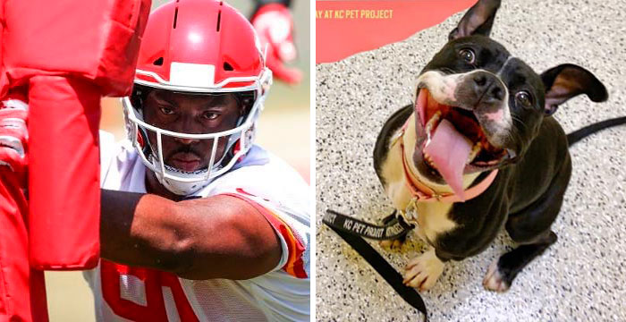 Super Bowl Winner Celebrates Victory By Paying The Adoption Fees Of Every Dog In A Shelter