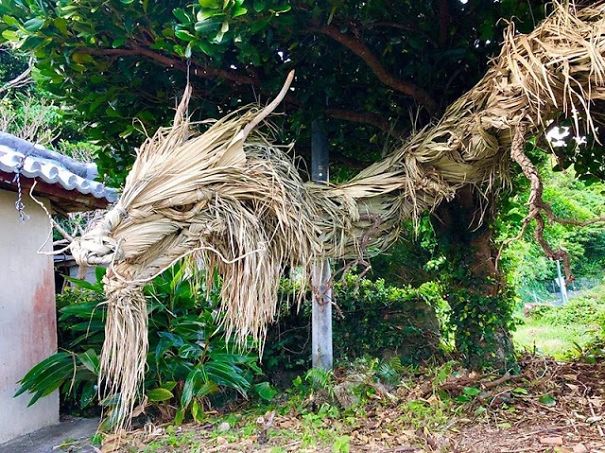 This Dragon Is Made From Palm Leaves This Dragon Is Made From Palm Leaves