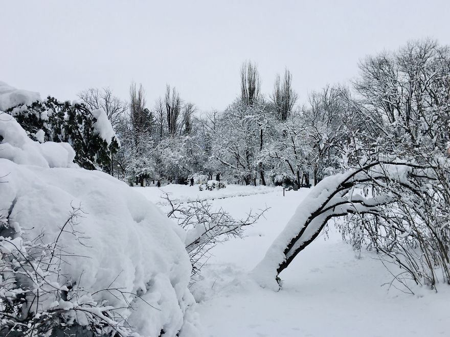 I Captured Bucharest Under Snow (30 Pics)