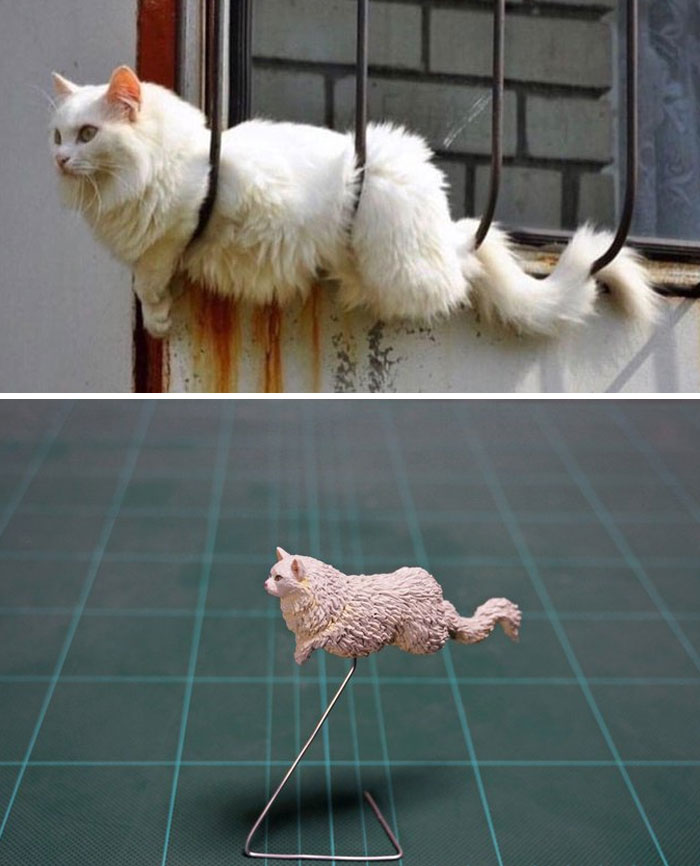 Funny Animals Sculptures