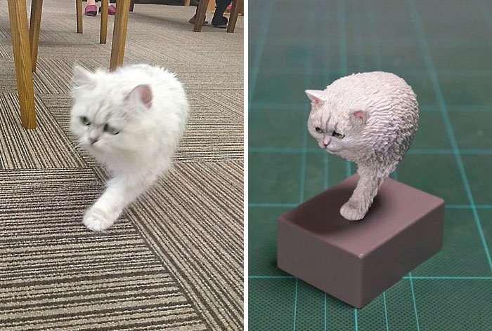 Funny Animals Sculptures