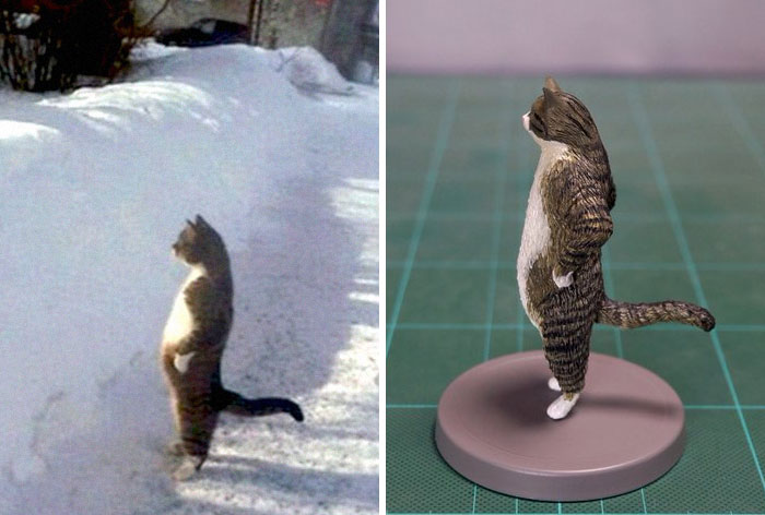 hair Product equator cat sculpture meme behave Hear from shortness of breath