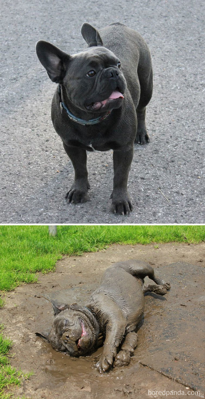 Before And After Mud Bath