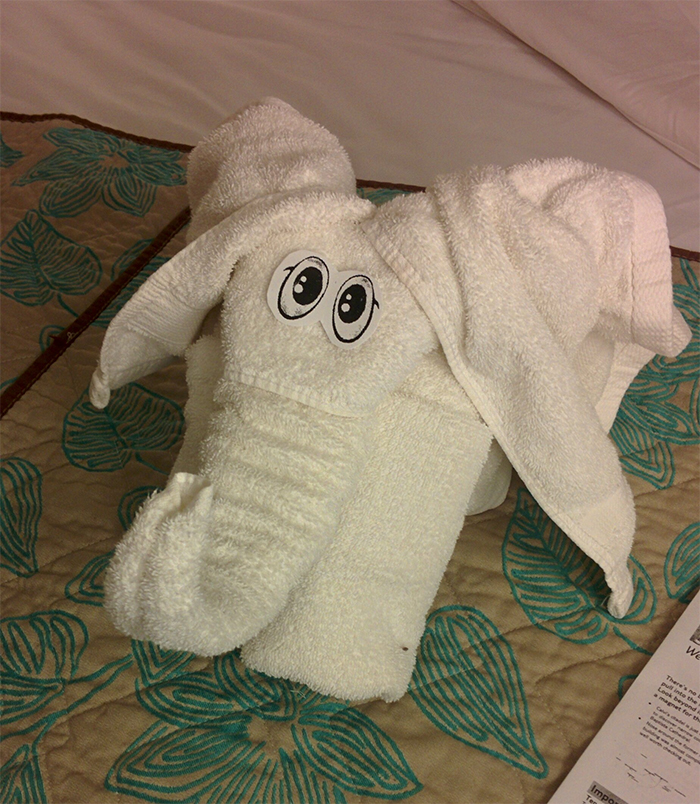 funny-folded-towel-art-in-hotels-5e578ac