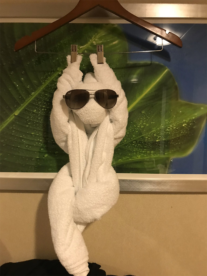 funny-folded-towel-art-in-hotels-5e57b32
