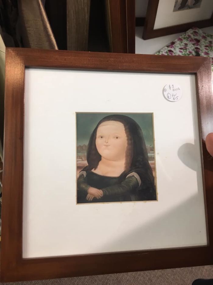Can’t Believe I Found An Original Da Vinci Painting At My Local Salvos
