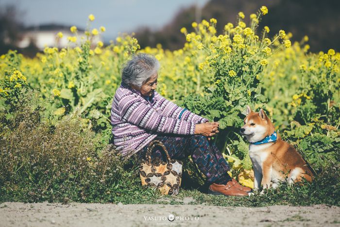 Grandson Captures The Heartwarming Bond Between His Grandma And Her Shiba Inu In 30 Beautiful Pics