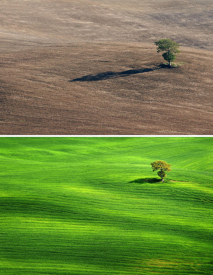 What A Difference A Few Months Make. Same Spot In Tuscany. I Took The Green One At The End Of May And The Other One In Early October