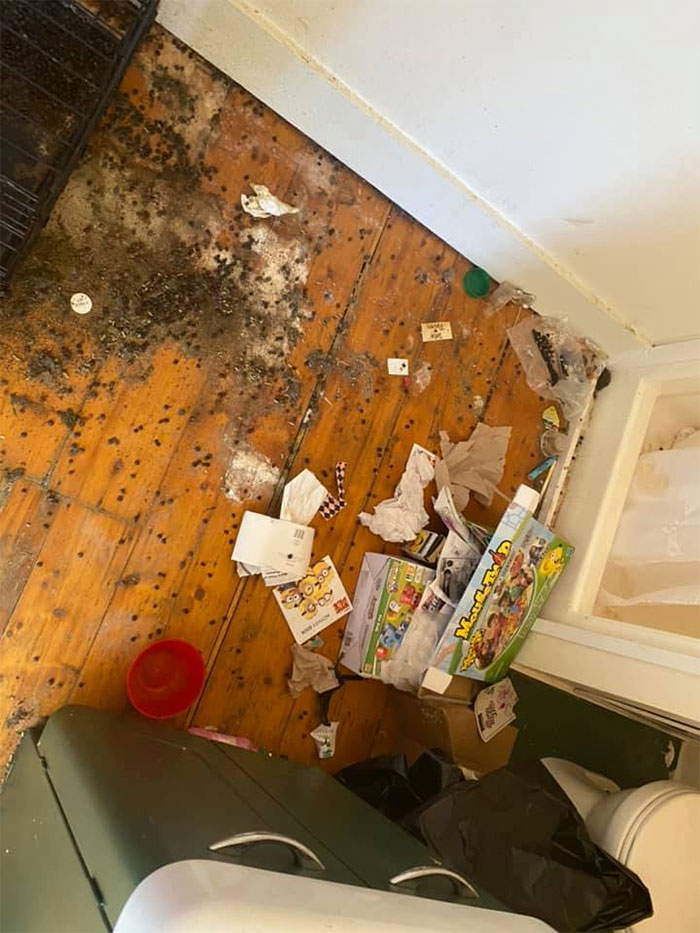 People Wonder Why Rents And Security Deposits Are So High, So This Landlord Shares Some Pics