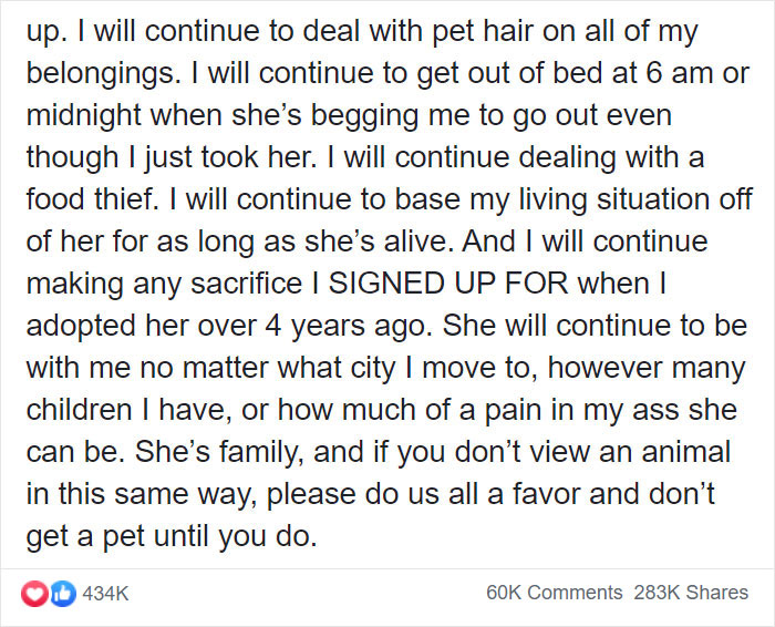 Before Getting A Dog, Make Sure You Read This Guy's Honest Post About The Struggles Of Owning One
