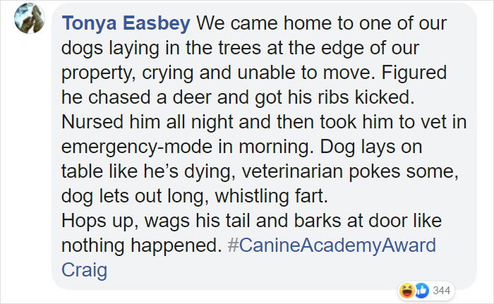 Dog Goes Missing One Evening, Turns Out He Got Stuck In His Own Poop And Wouldn’t Move Or Speak