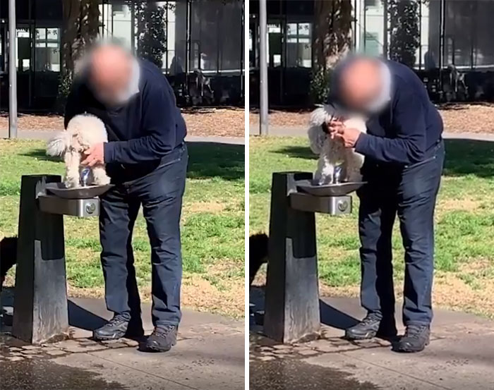 Washing Dog's Bum On A Drinking Fountain