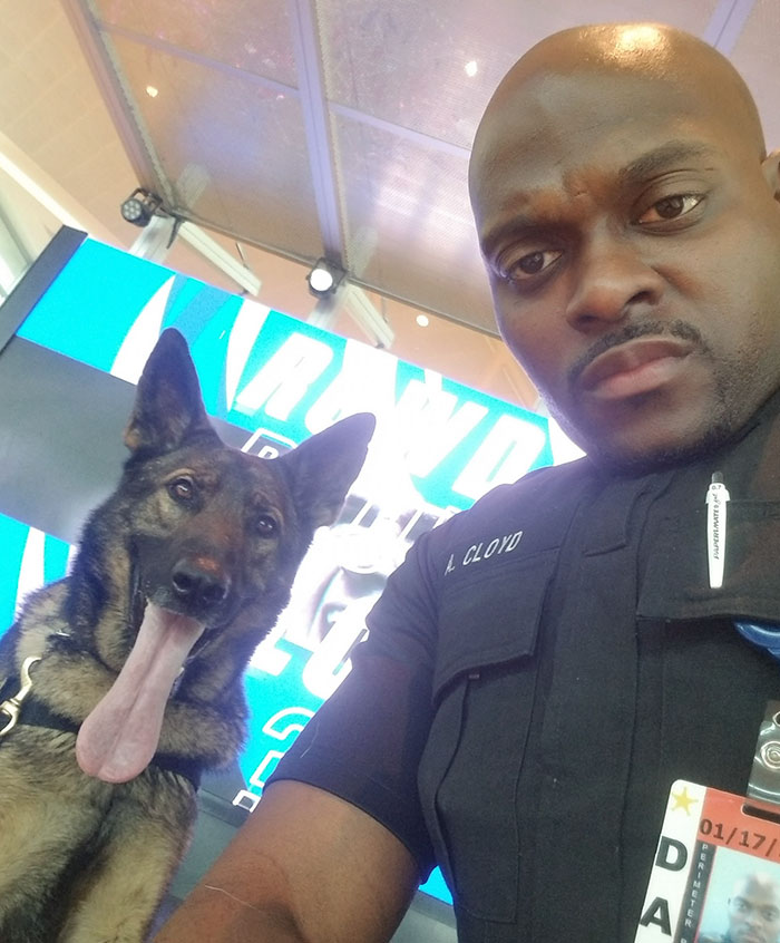 Woman Shares How She Saw A Policeman Taking Selfies With His Service Dog, He Responds With Pics
