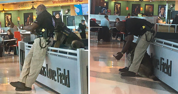 Woman Shares How She Saw A Policeman Taking Selfies With His Service Dog, He Responds With Pics