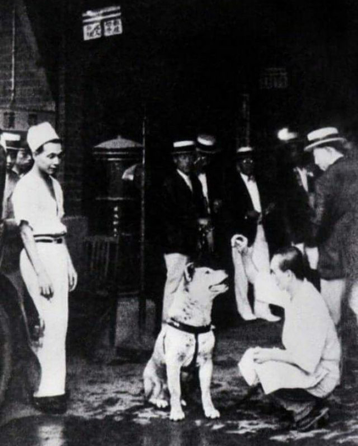 Rare Photos Of Hachiko Patiently Waiting For His Owner Have Surfaced And It's Heartbreaking To See