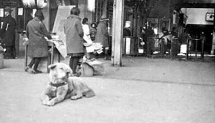 Rare Photos Of Hachiko Patiently Waiting For His Owner Have Surfaced And It's Heartbreaking To See