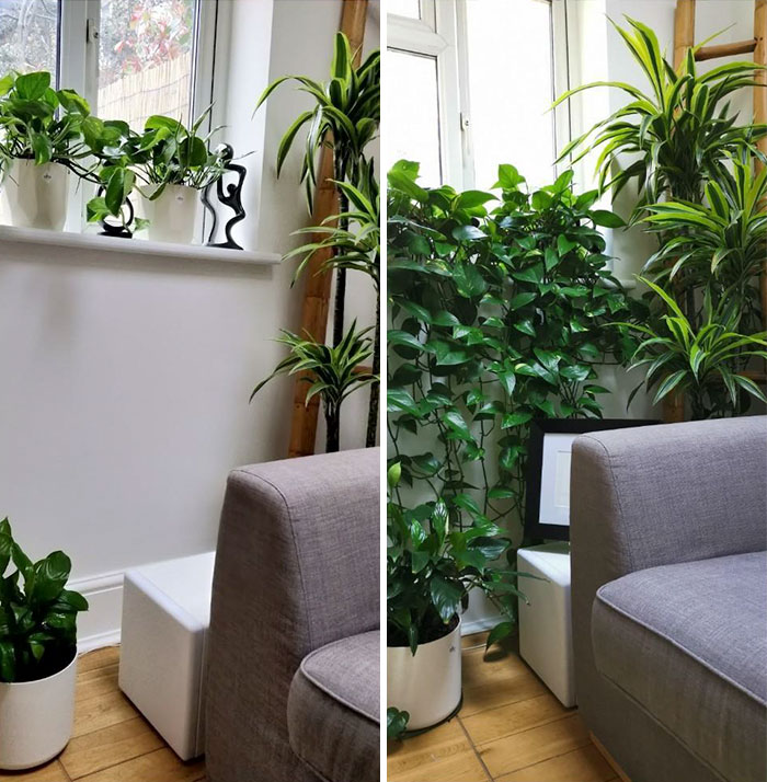 1 Year Progress. The Plants Seem To Like That Corner And So Do Our Guests (And Us Of Course)